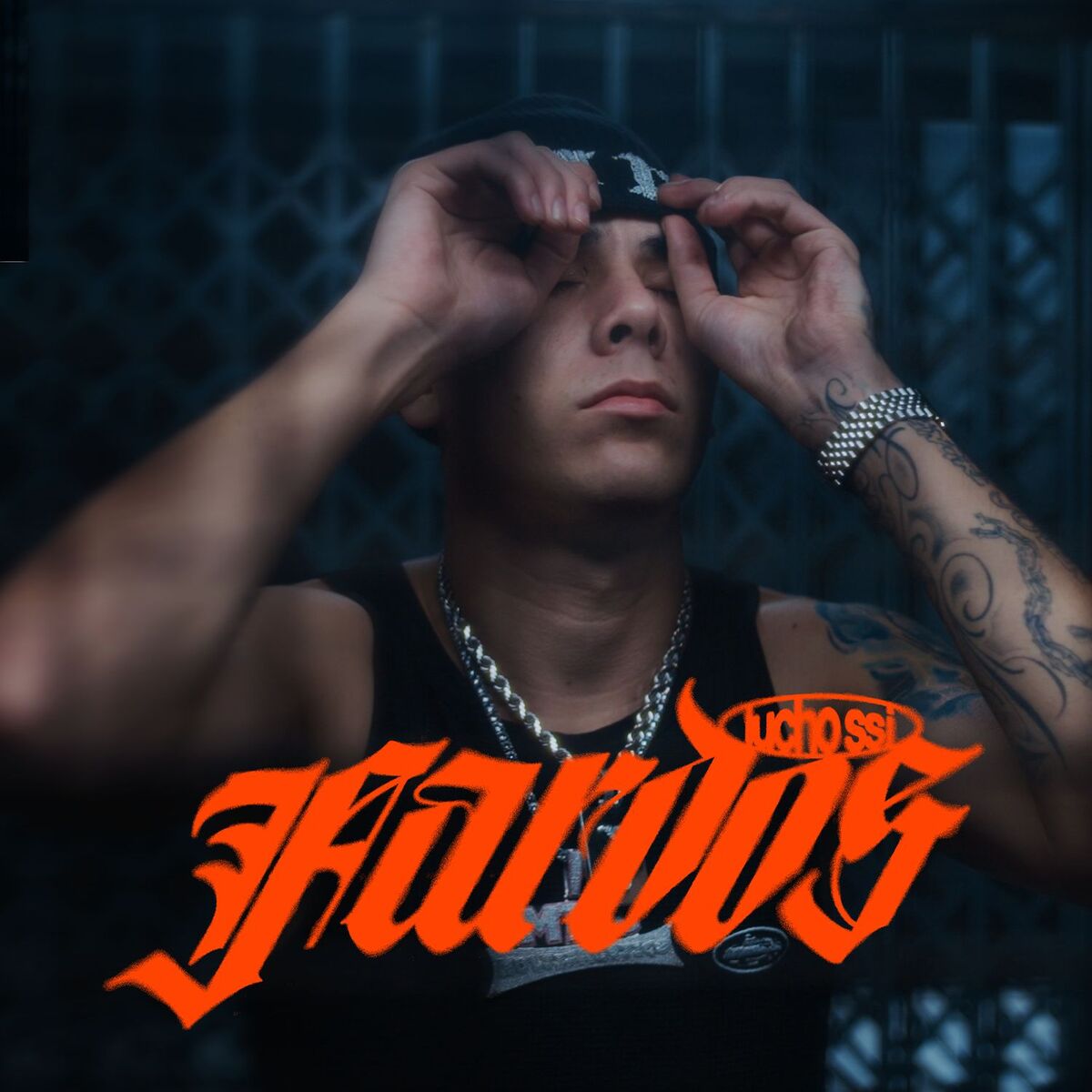 Album cover of Fardos
