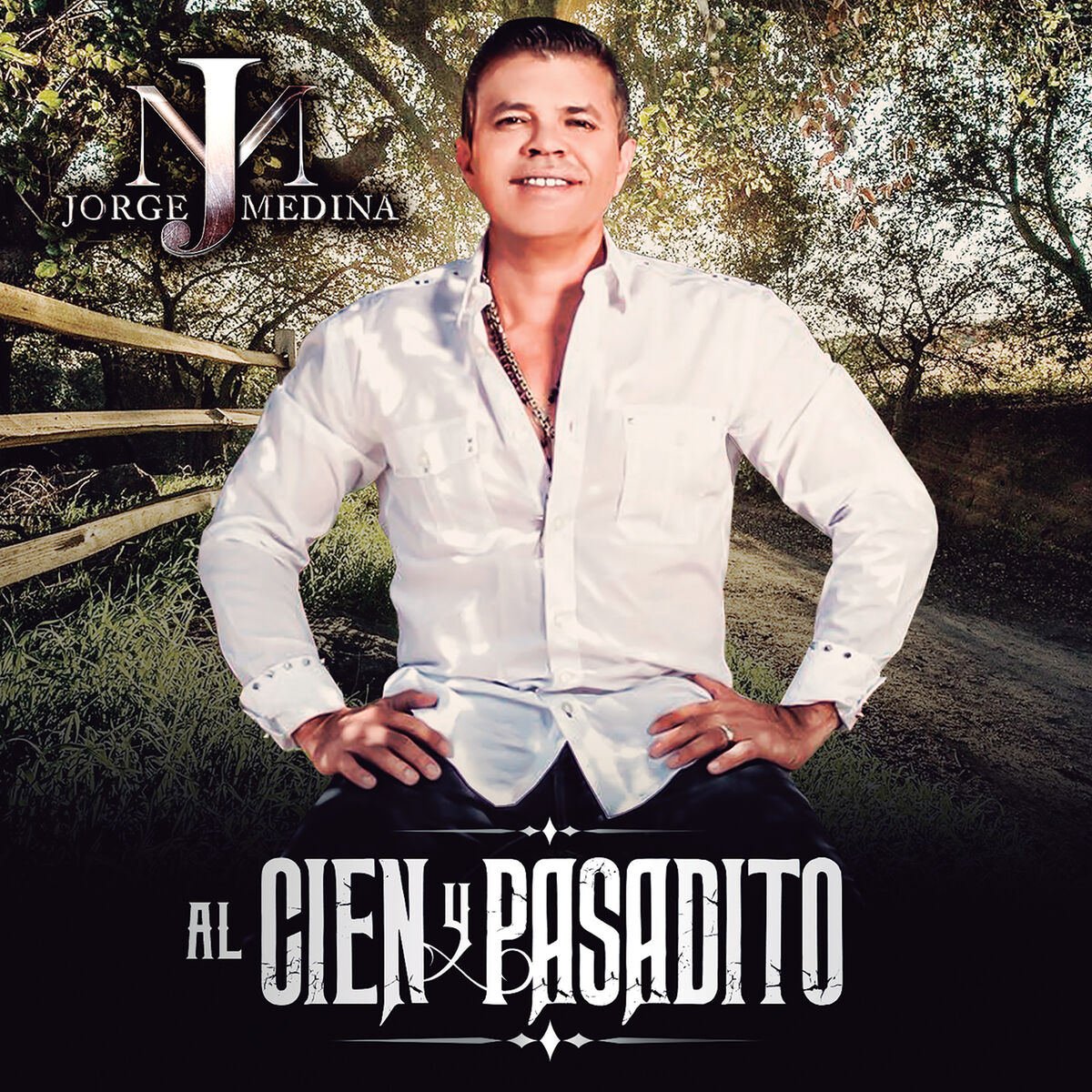 Album picture of Al Cien Y Pasadito