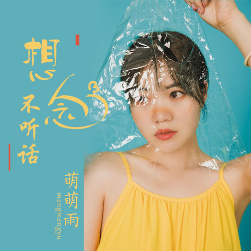 想念不听话 (DJ版)