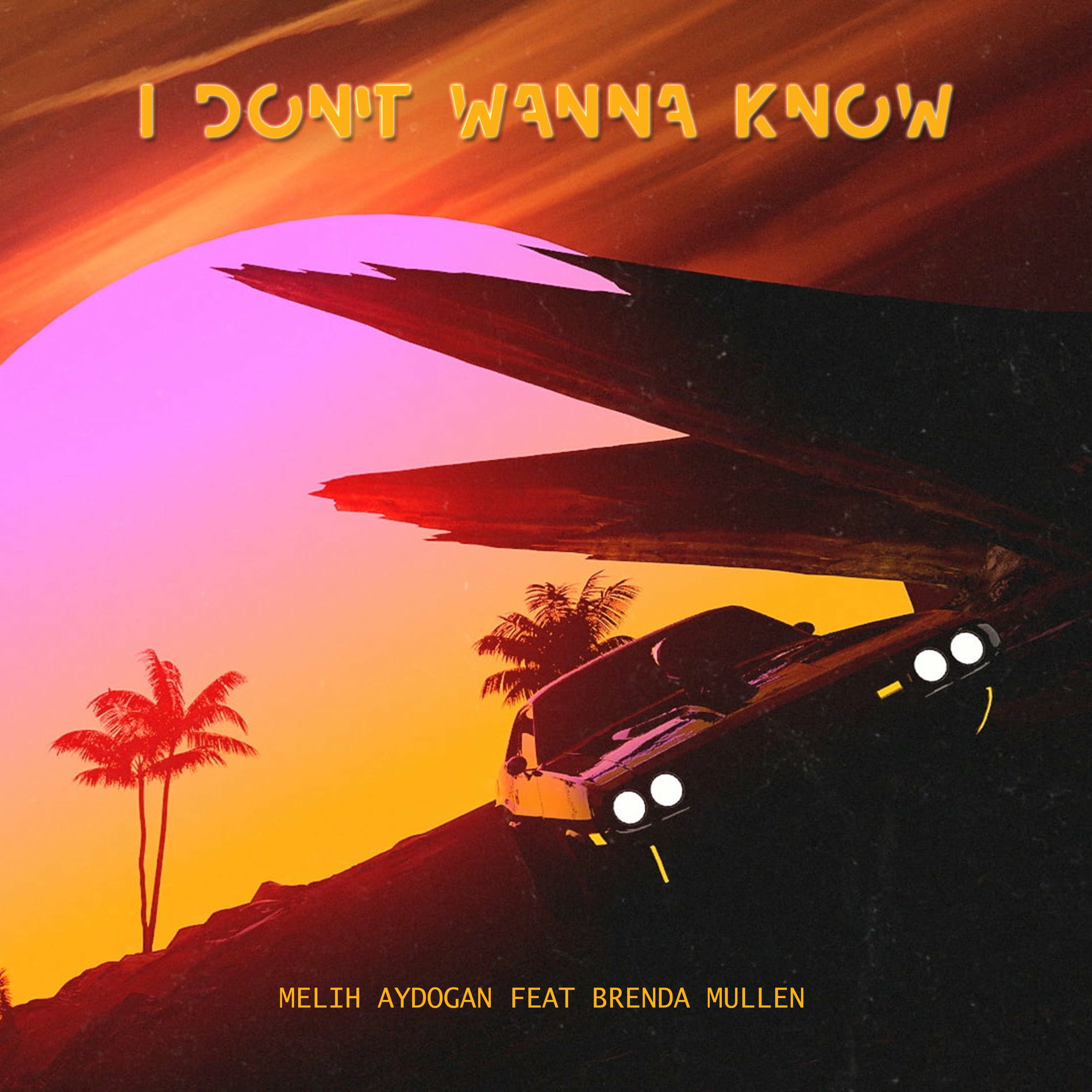 Album cover of I Don't Wanna Know (feat. Brenda Mullen)