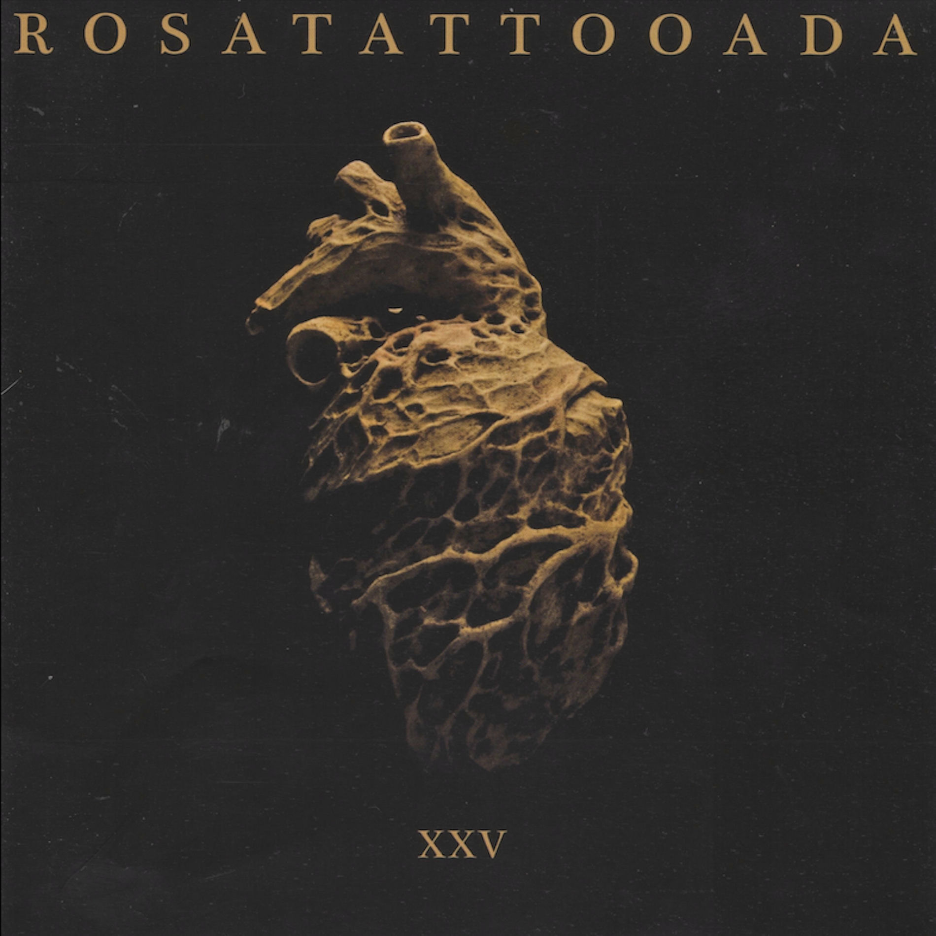 Album cover of XXV