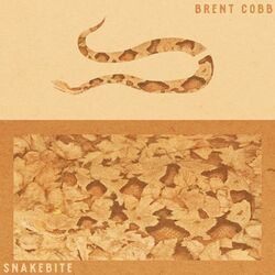 Cover of Snakebite