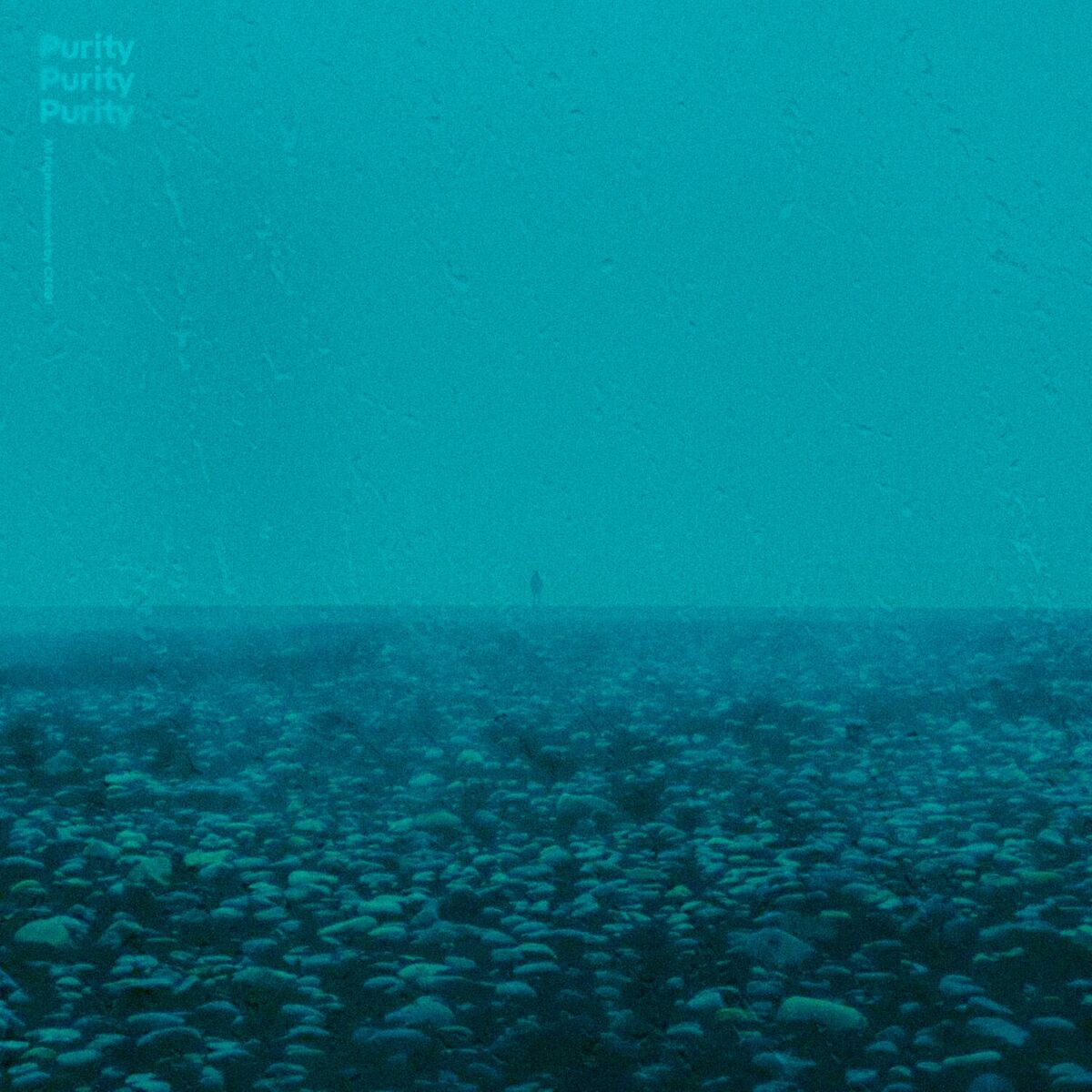 Album cover of purity