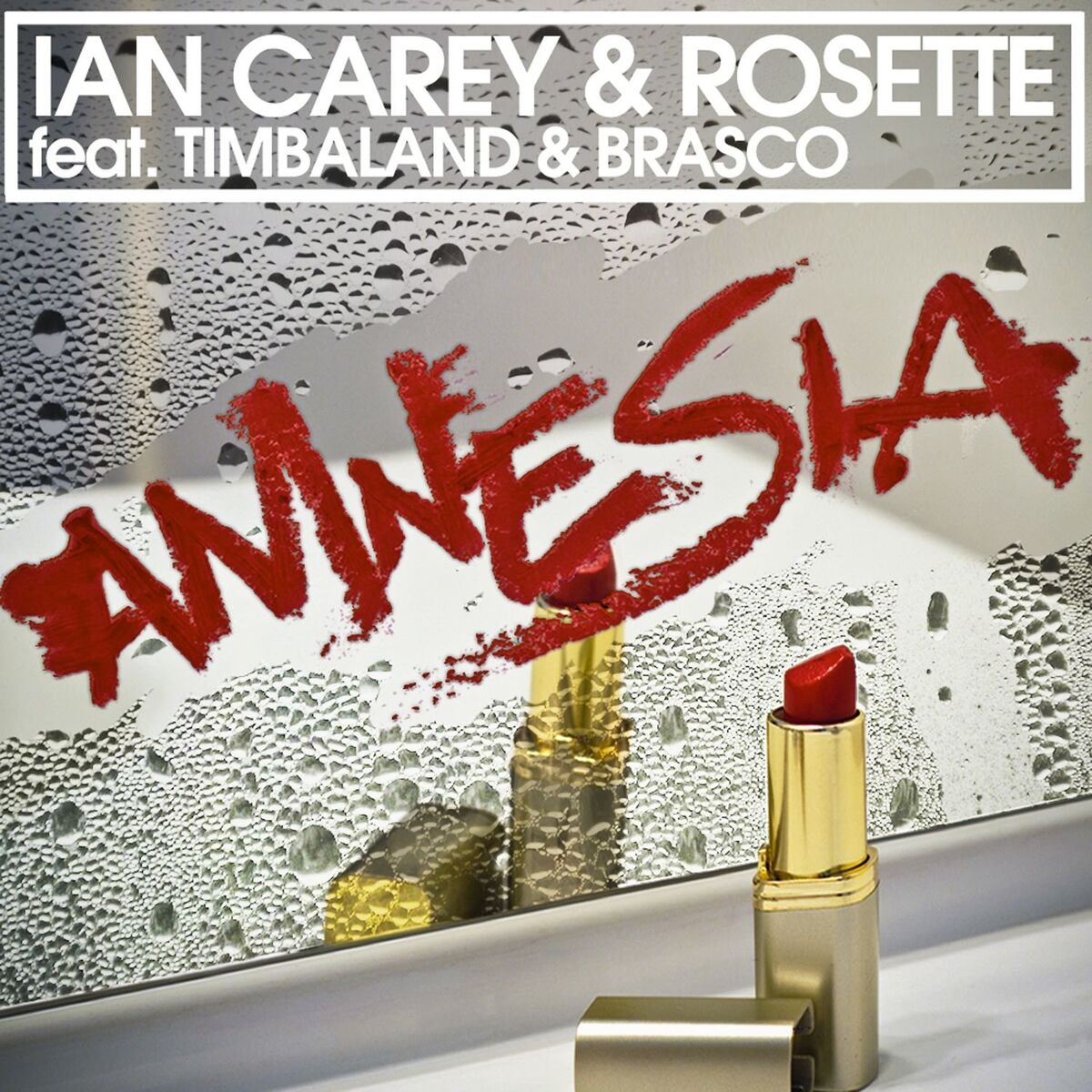 Album cover of Amnesia (feat. Timbaland & Brasco)