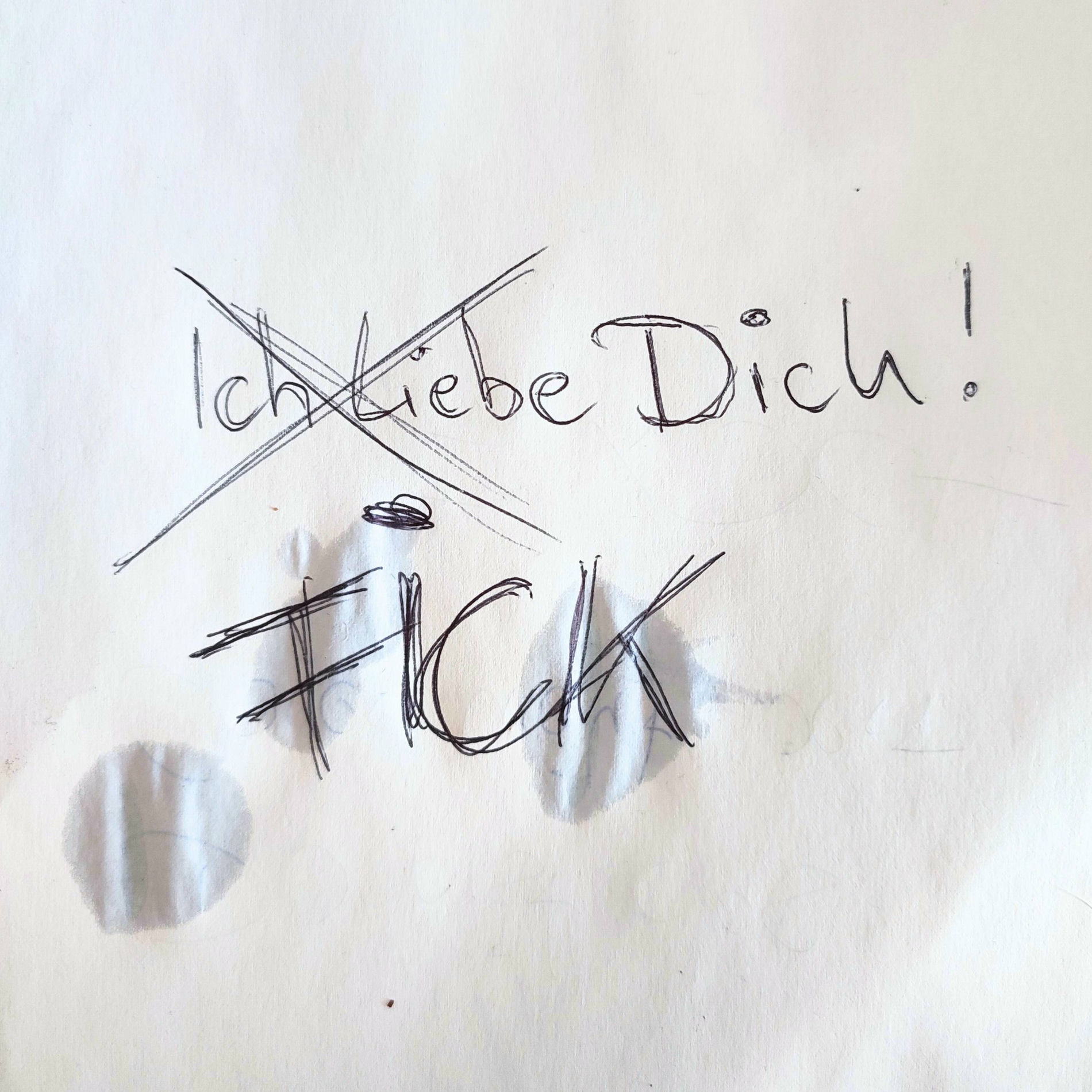 Album cover of FCK DICH