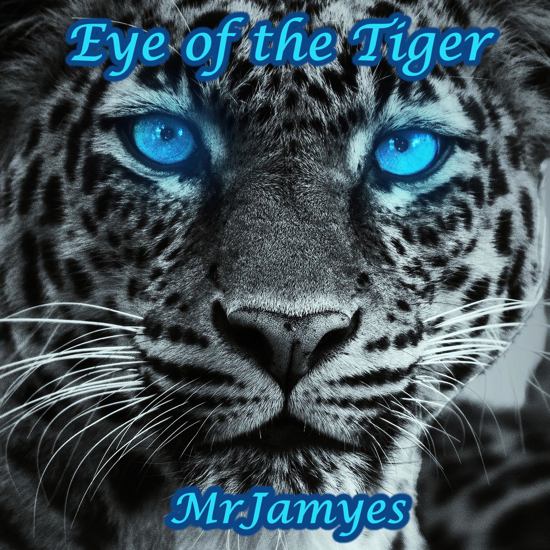 Album cover of Eye of the Tiger