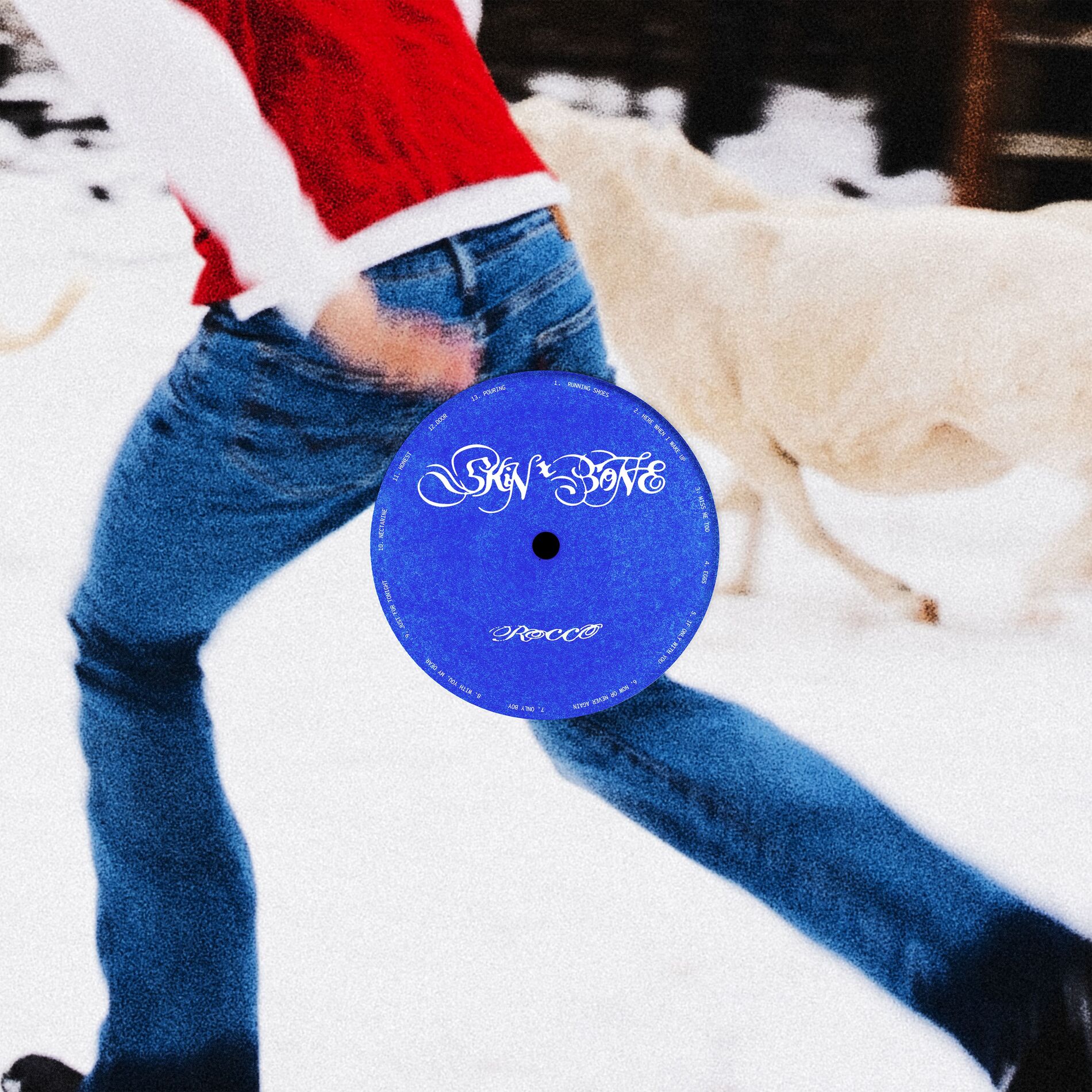 Album cover of Skin & Bone