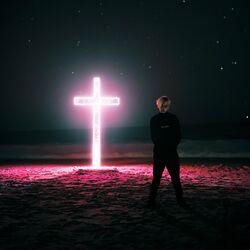 Cover of I Won't Beg for You