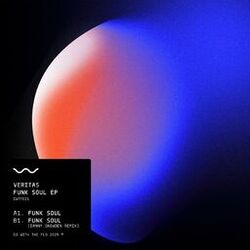 Funk Soul (Danny Snowden Remix)