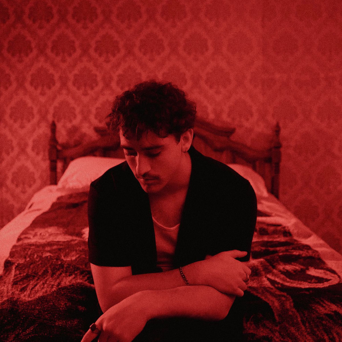 Album cover of YOU LIED