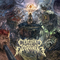 Cover of Cerebral Chronicles