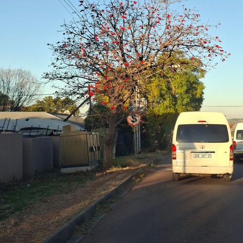 Kyk na jou hart