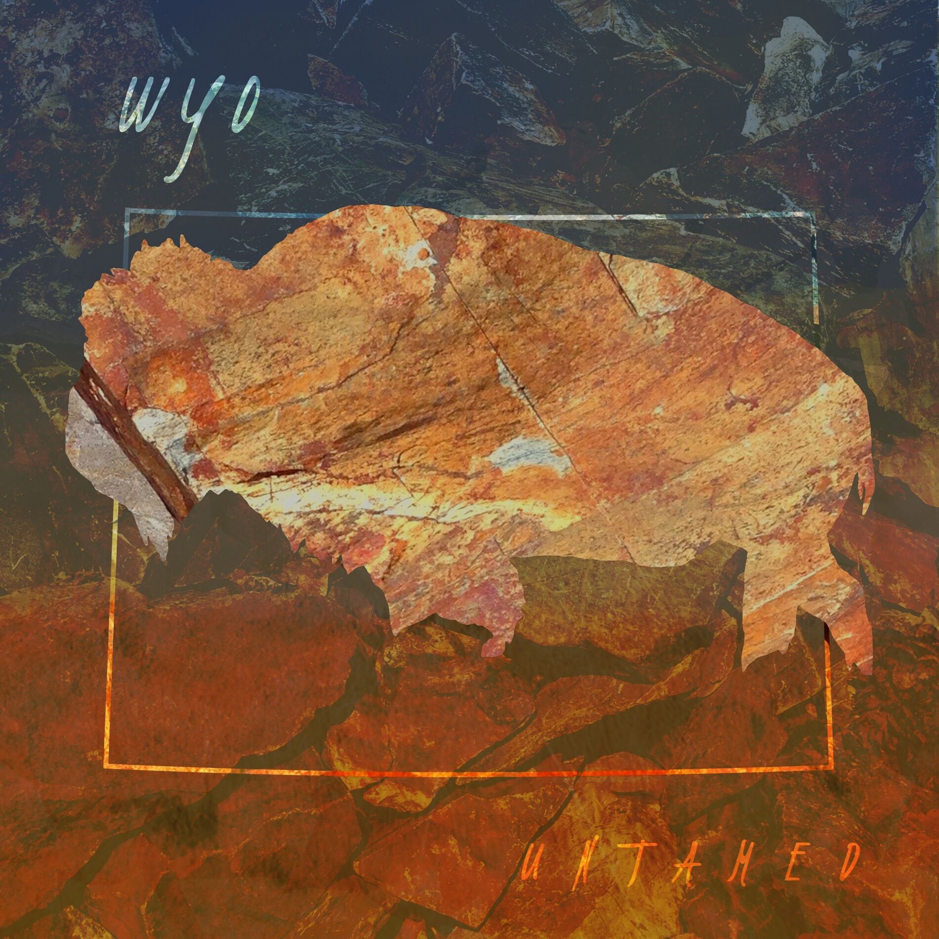 Album cover of Untamed