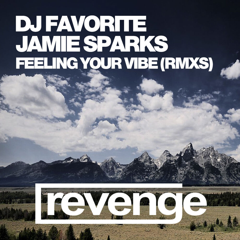 Picture of Feeling Your Vibe (Official Remixes)