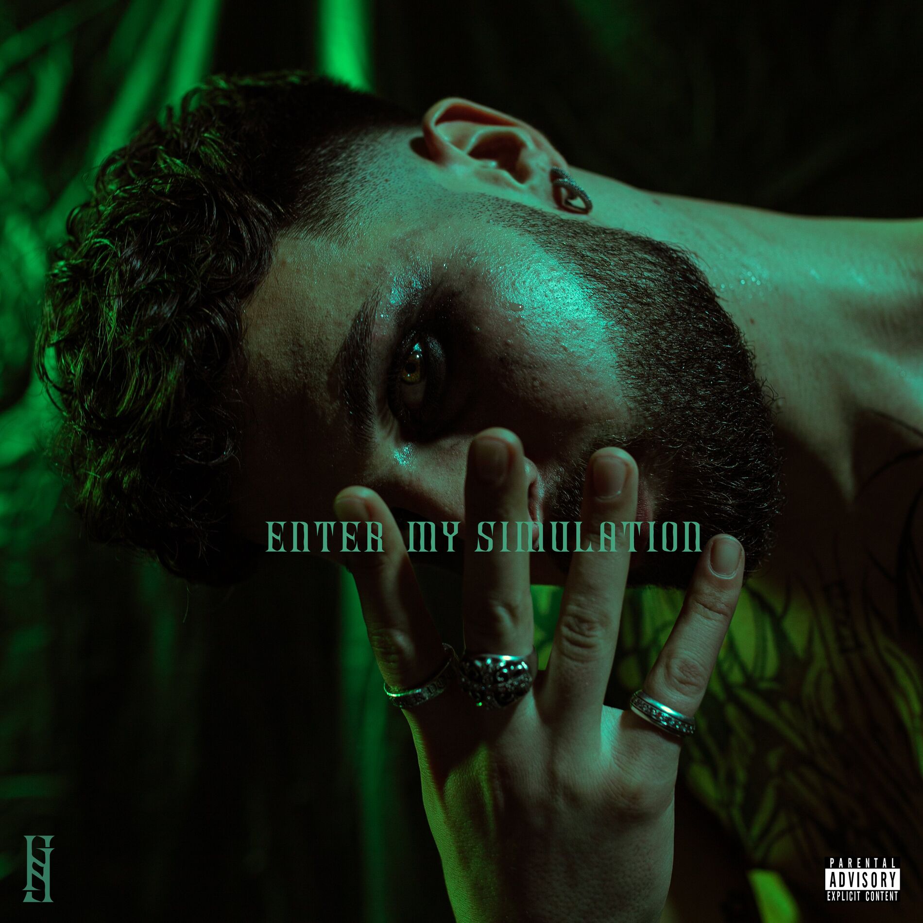 Album cover of ENTER MY SIMULATION