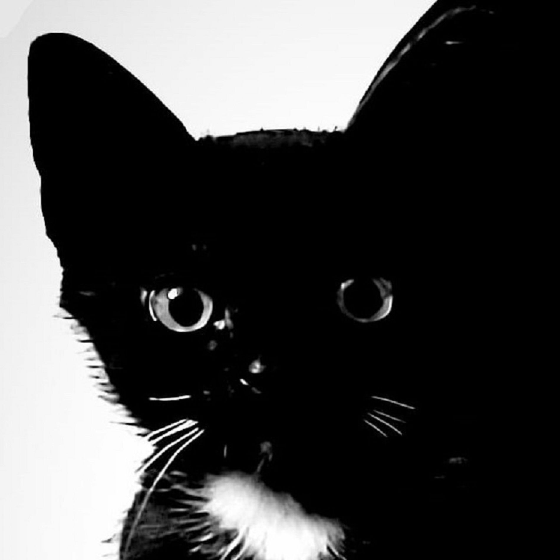 Album cover of EINER VON VIELEN?