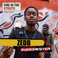Fire in the Streets - ZedB album cover