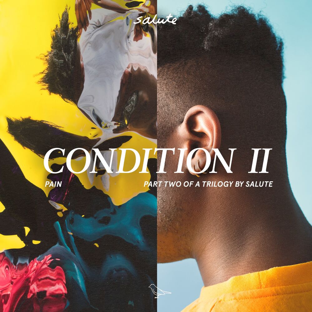 Picture of Condition II
