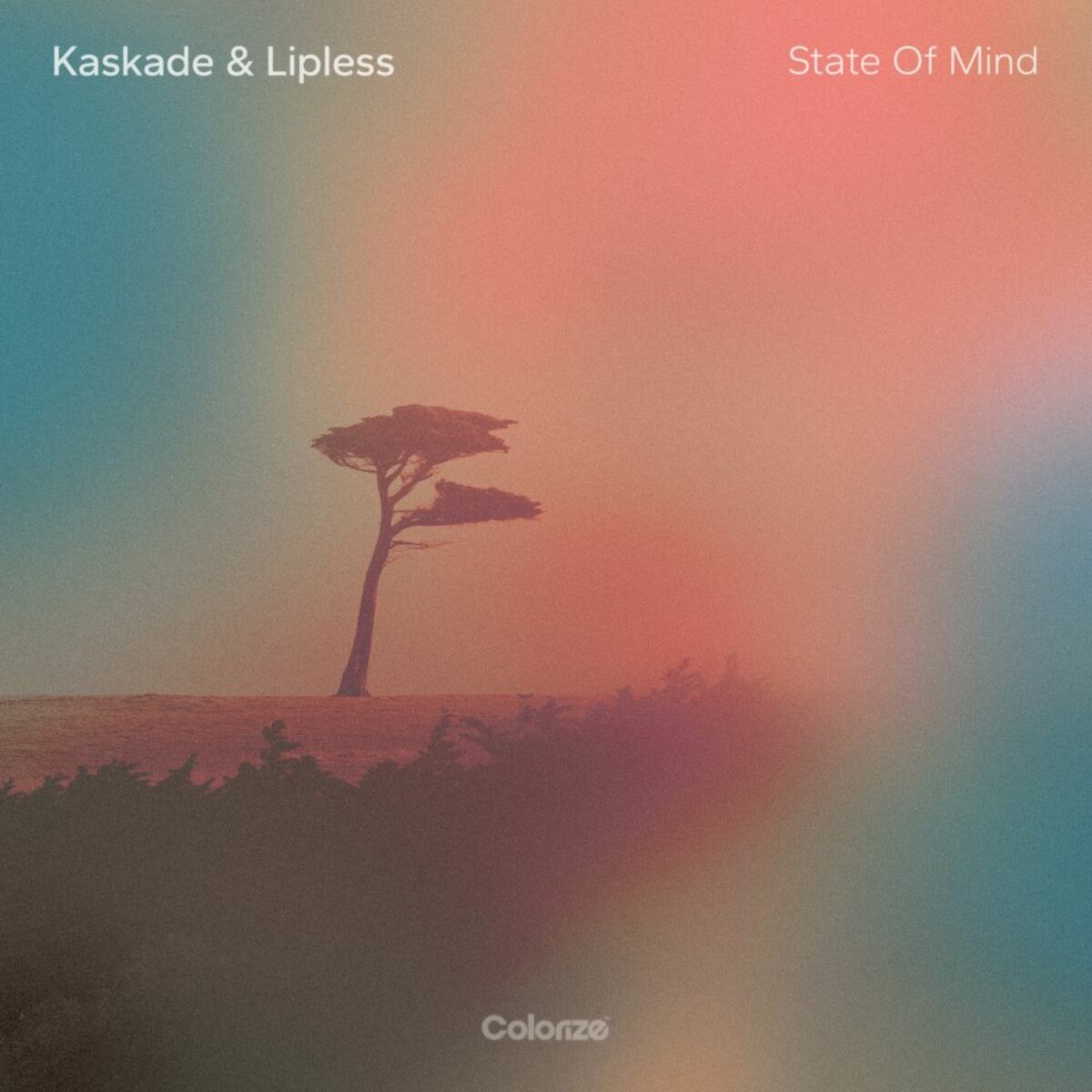 Album cover of State Of Mind
