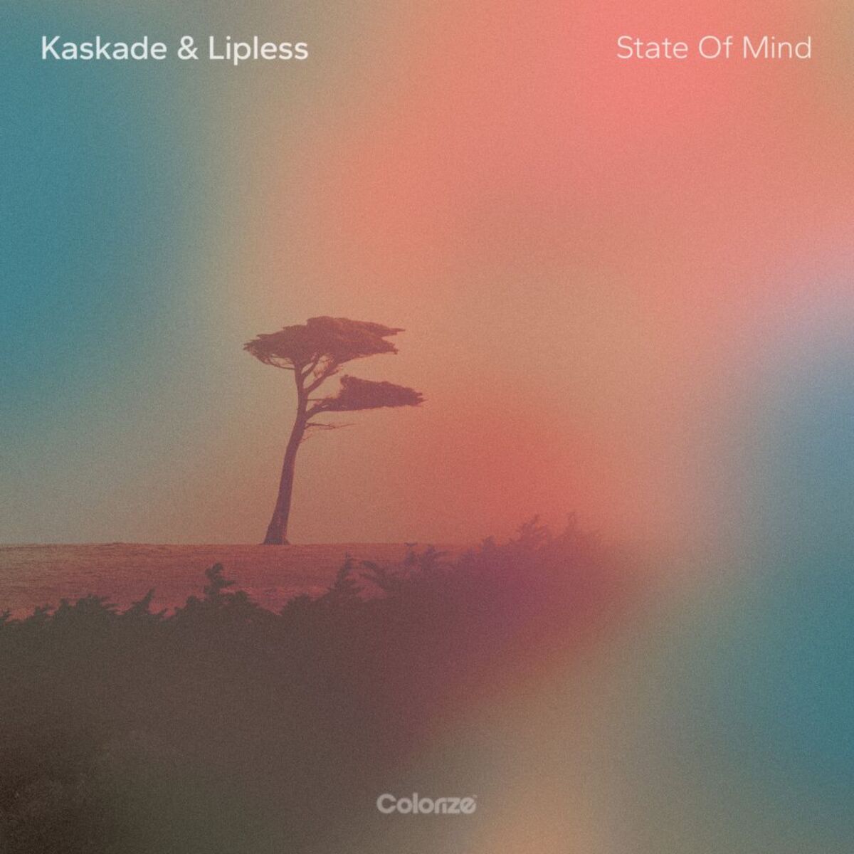 Album cover of State Of Mind