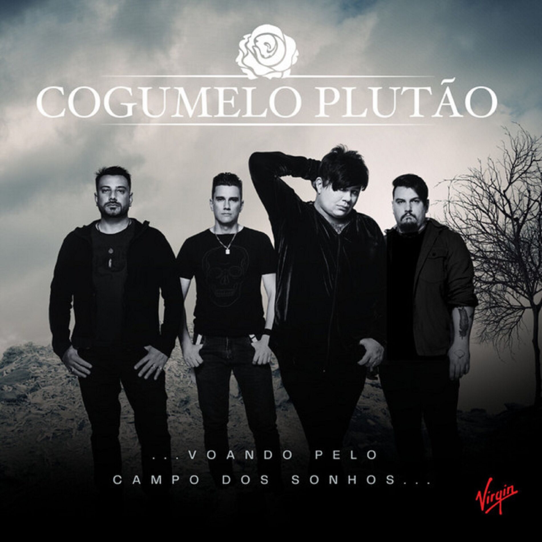 Album cover of Voando Pelo Campo Dos Sonhos