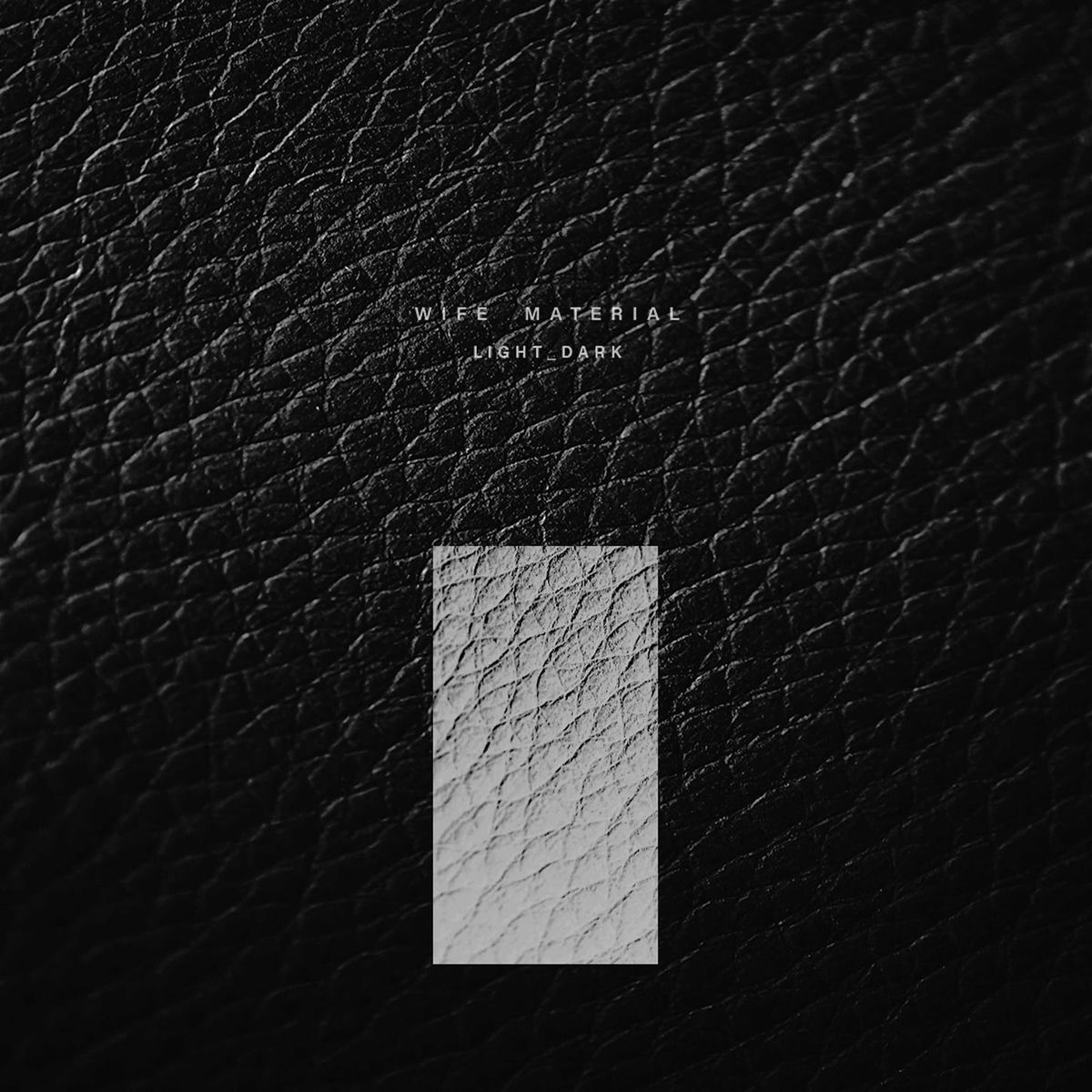 Album cover of LIGHT_DARK