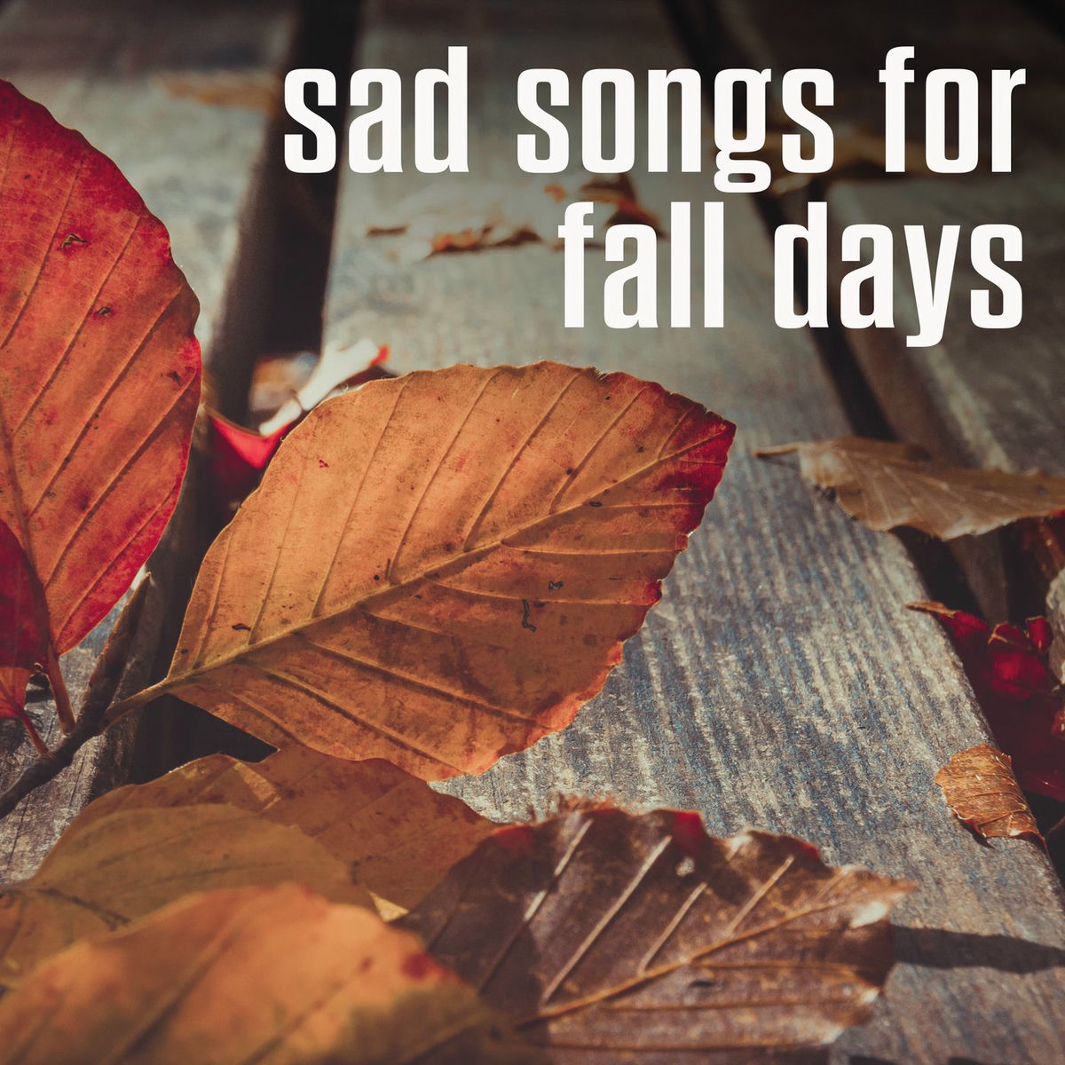 Album cover of sad songs for fall days