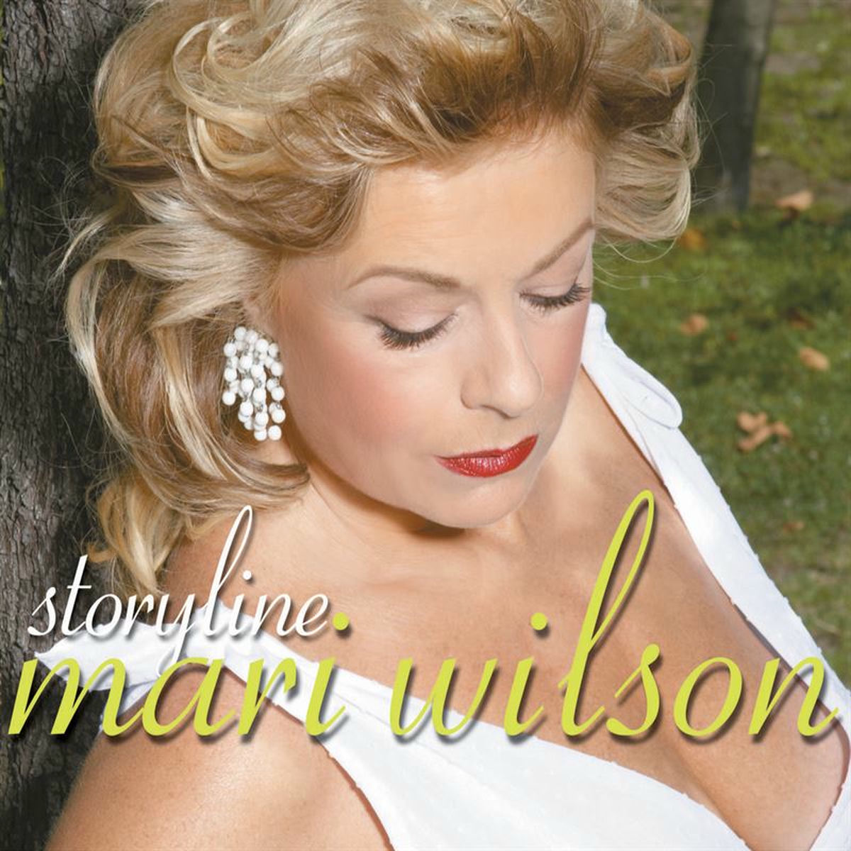 Album cover of Storyline
