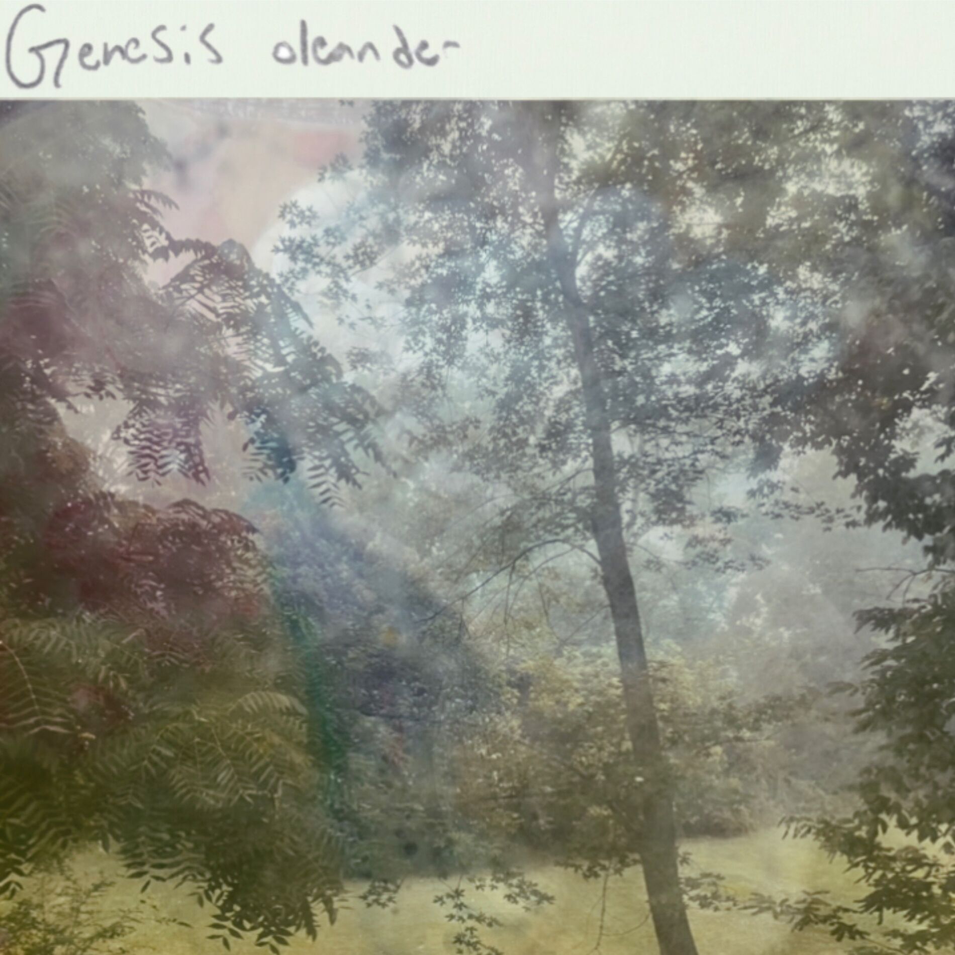Album cover of Genesis