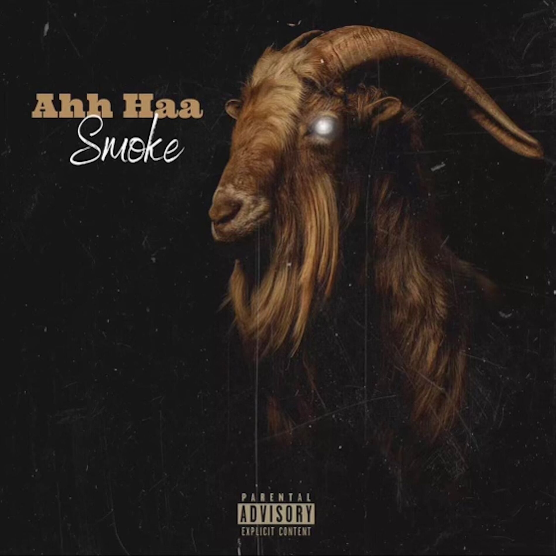 Album cover of Ahh Haa
