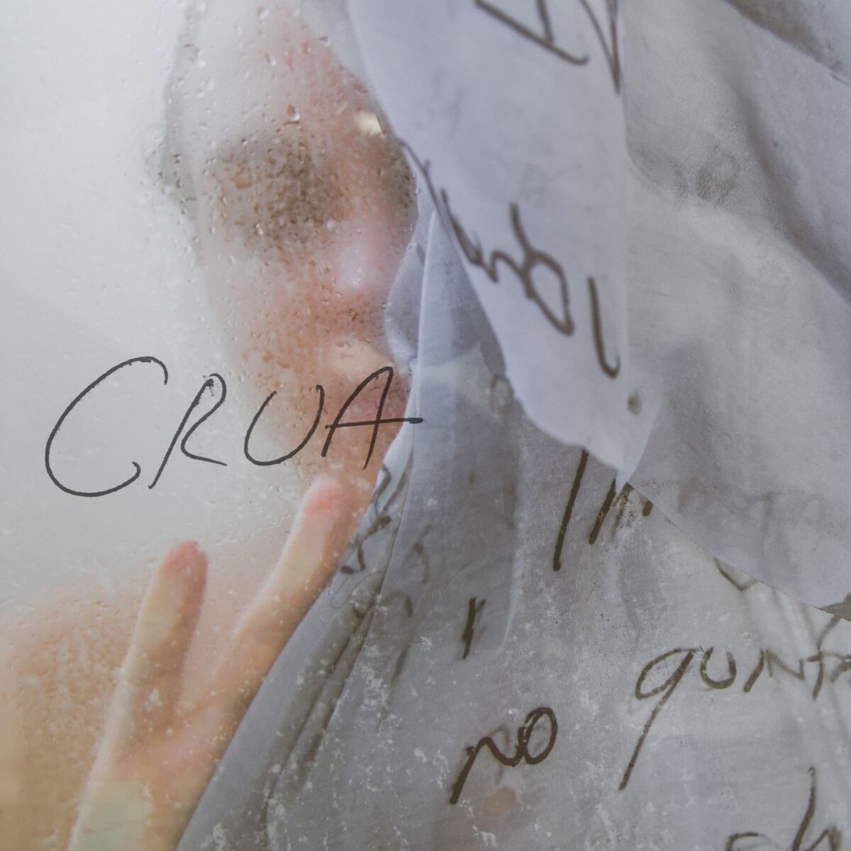 Album cover of Crua