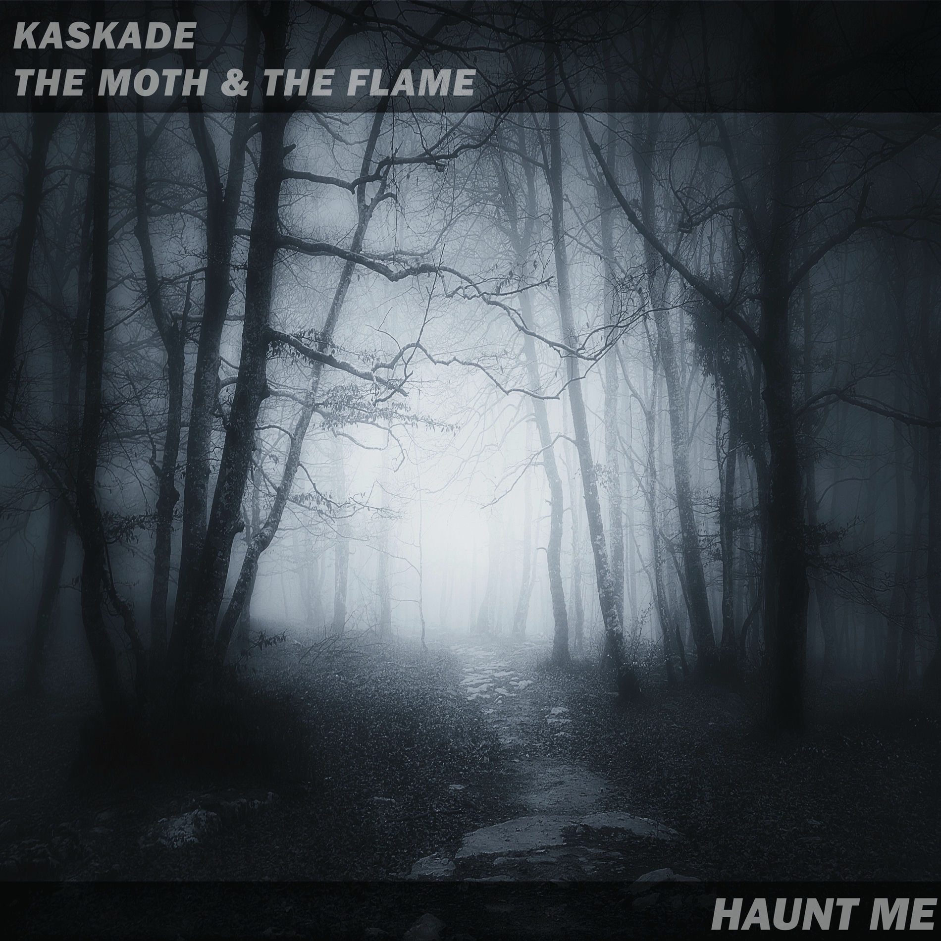 Album cover of Haunt Me