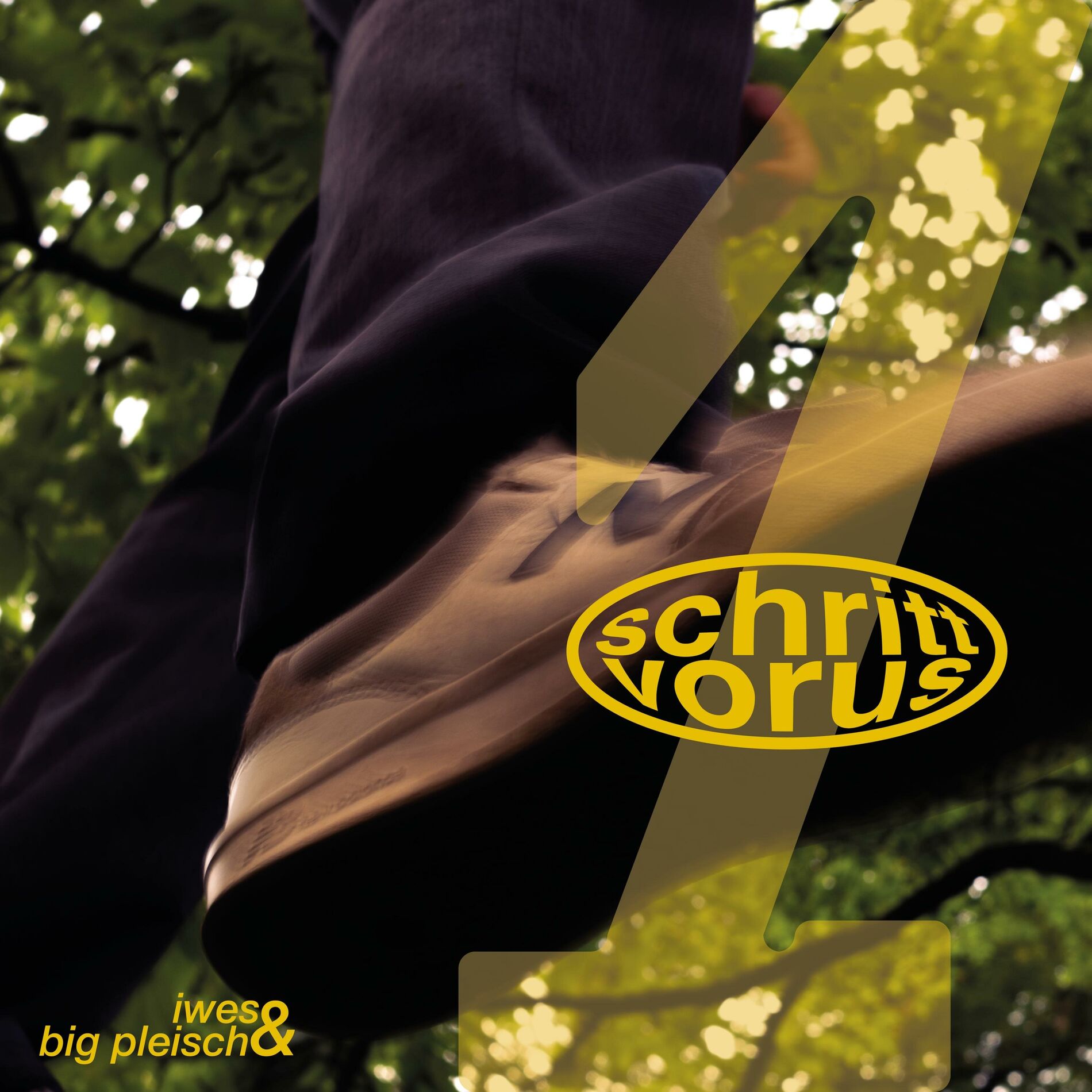 Album cover of Intro