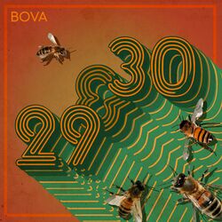 Cover of 29 & 30 (Short Version)