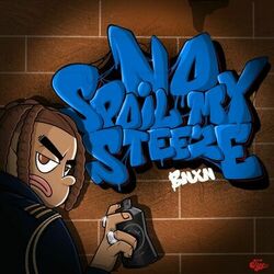 Cover of No Spoil My Steeze
