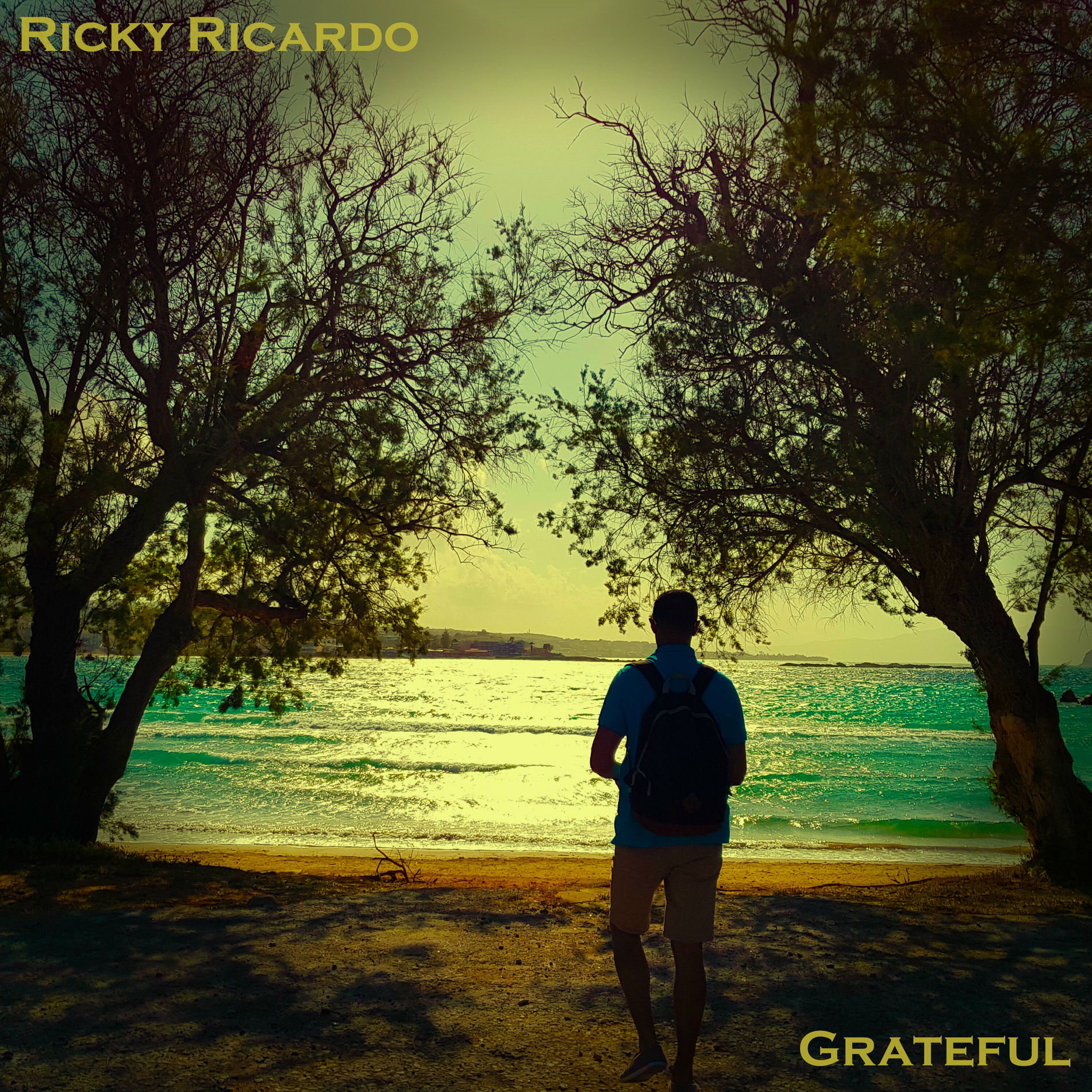 Album cover of Grateful
