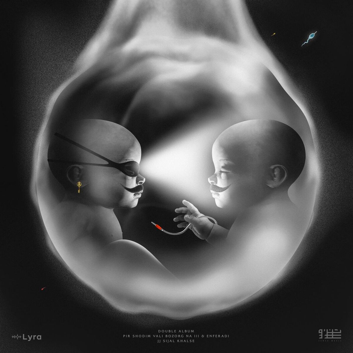 Album cover of Double Album
