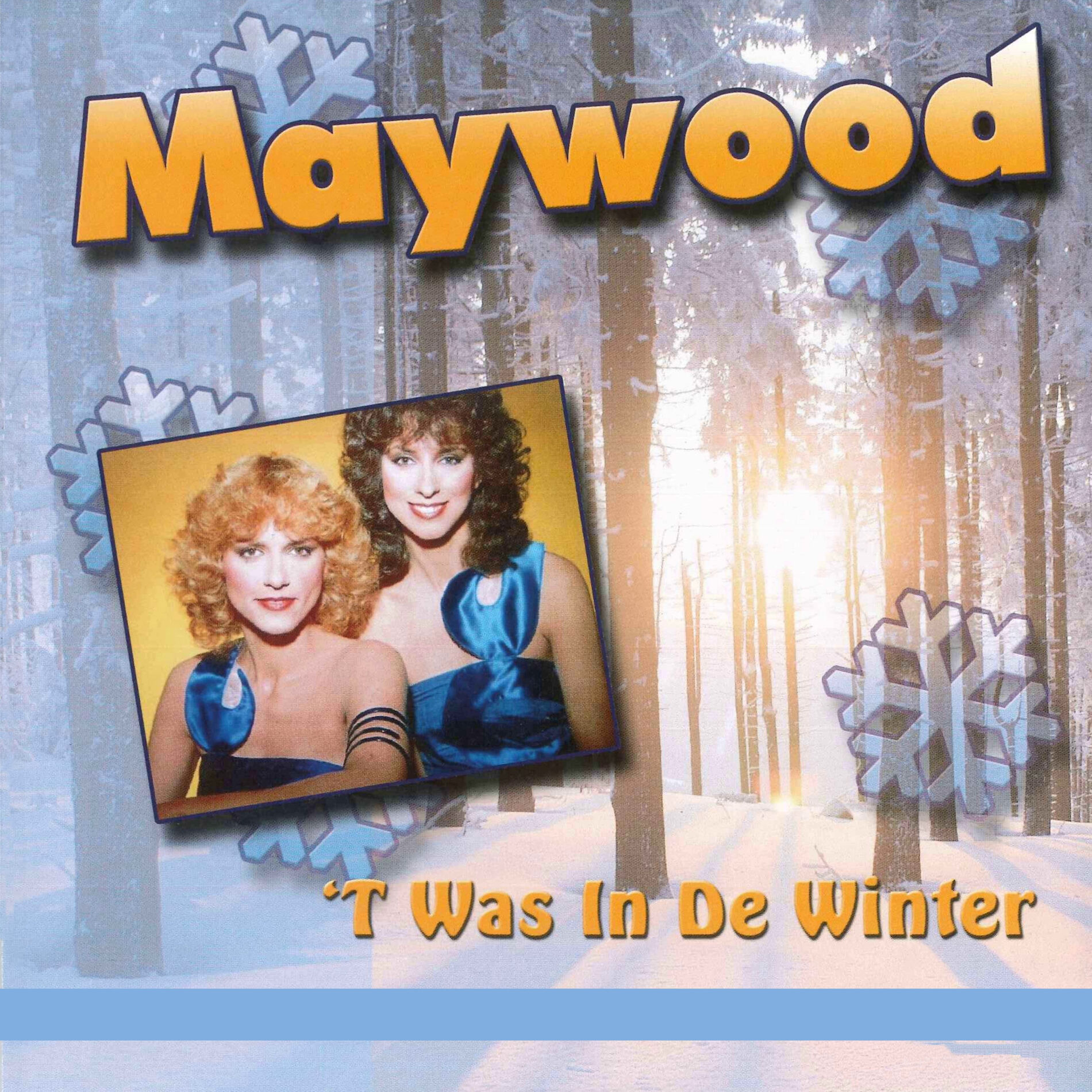 Album cover of 't Was In De Winter
