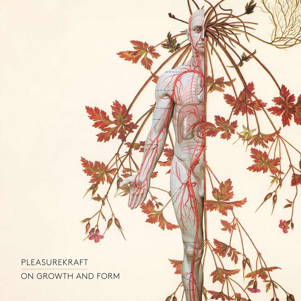 Album cover of On Growth and Form