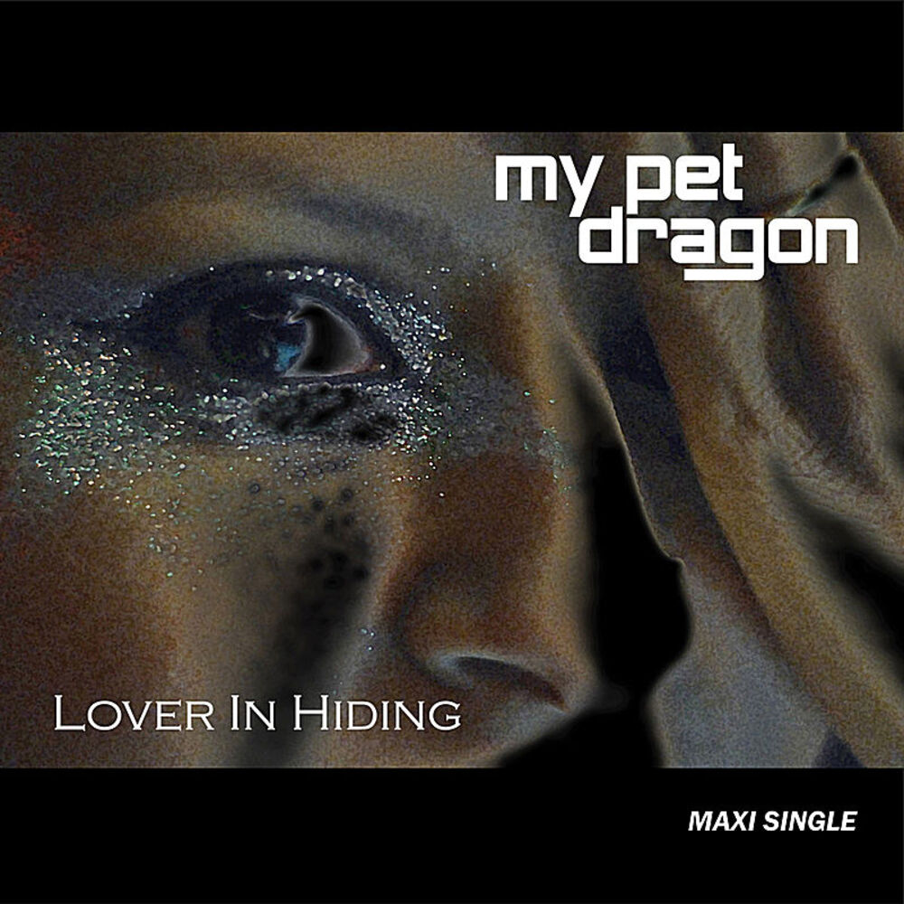 Picture of Lover In Hiding - Maxi Single