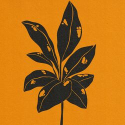 Cover of daydreamers