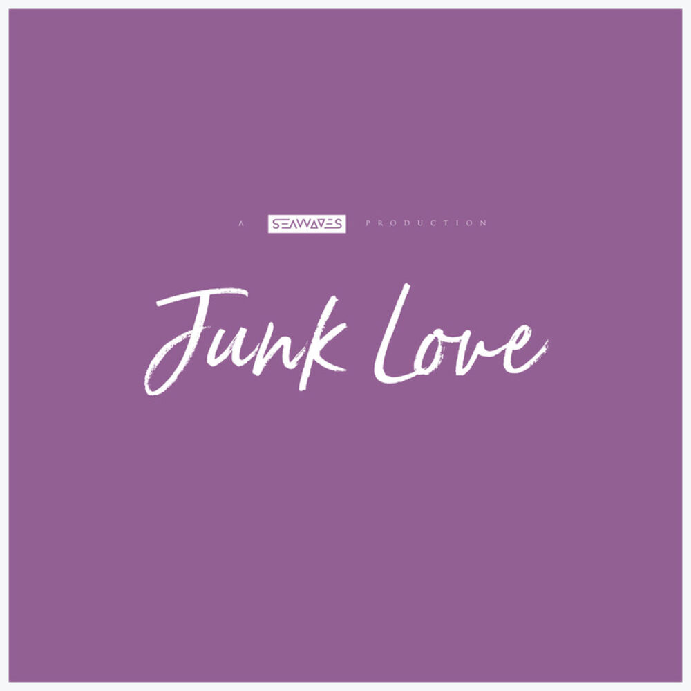Picture of Junk Love