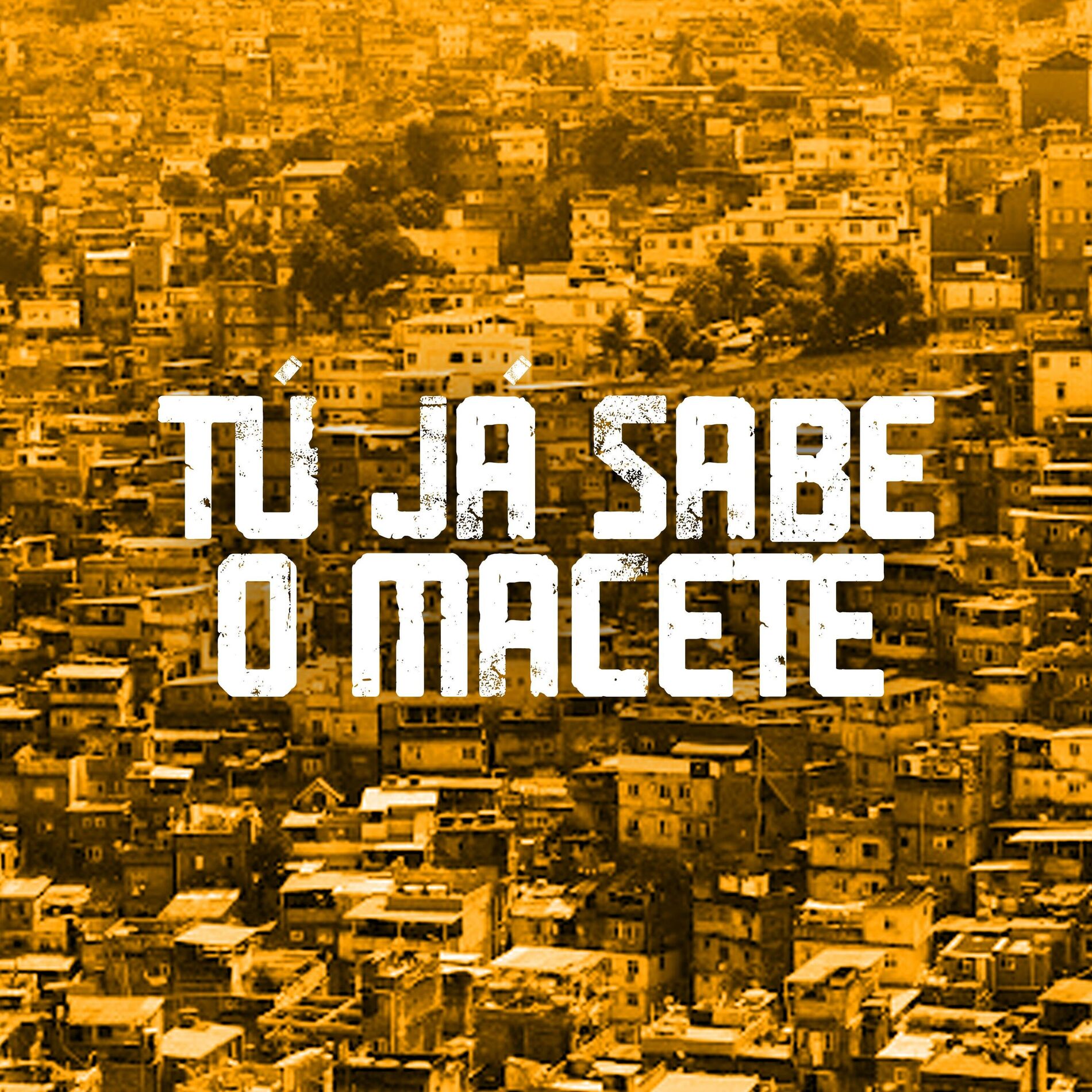 Album cover of Tú Já Sabe O Macete