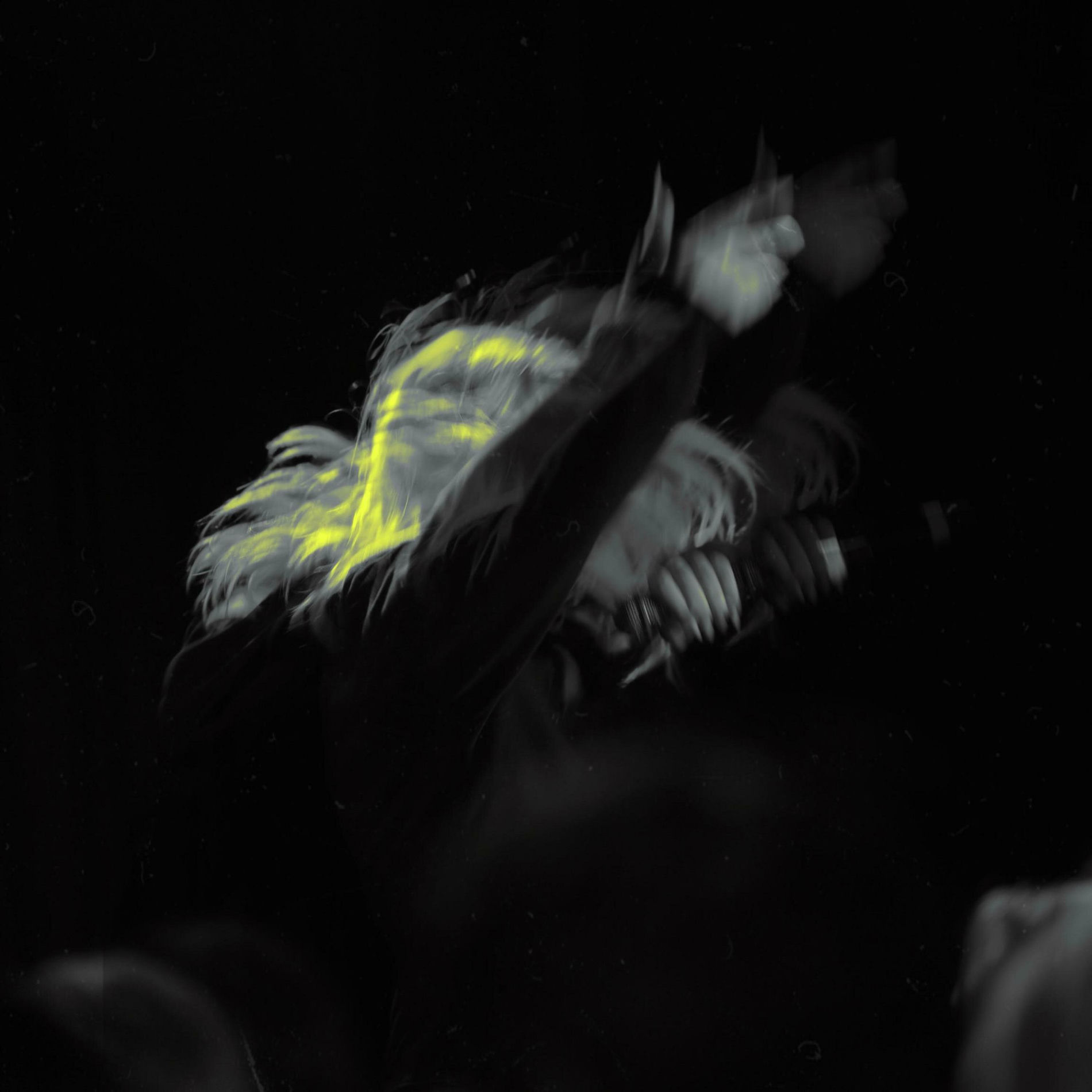 Album cover of KLOPF KLOPF (feat. Kidnfinity)
