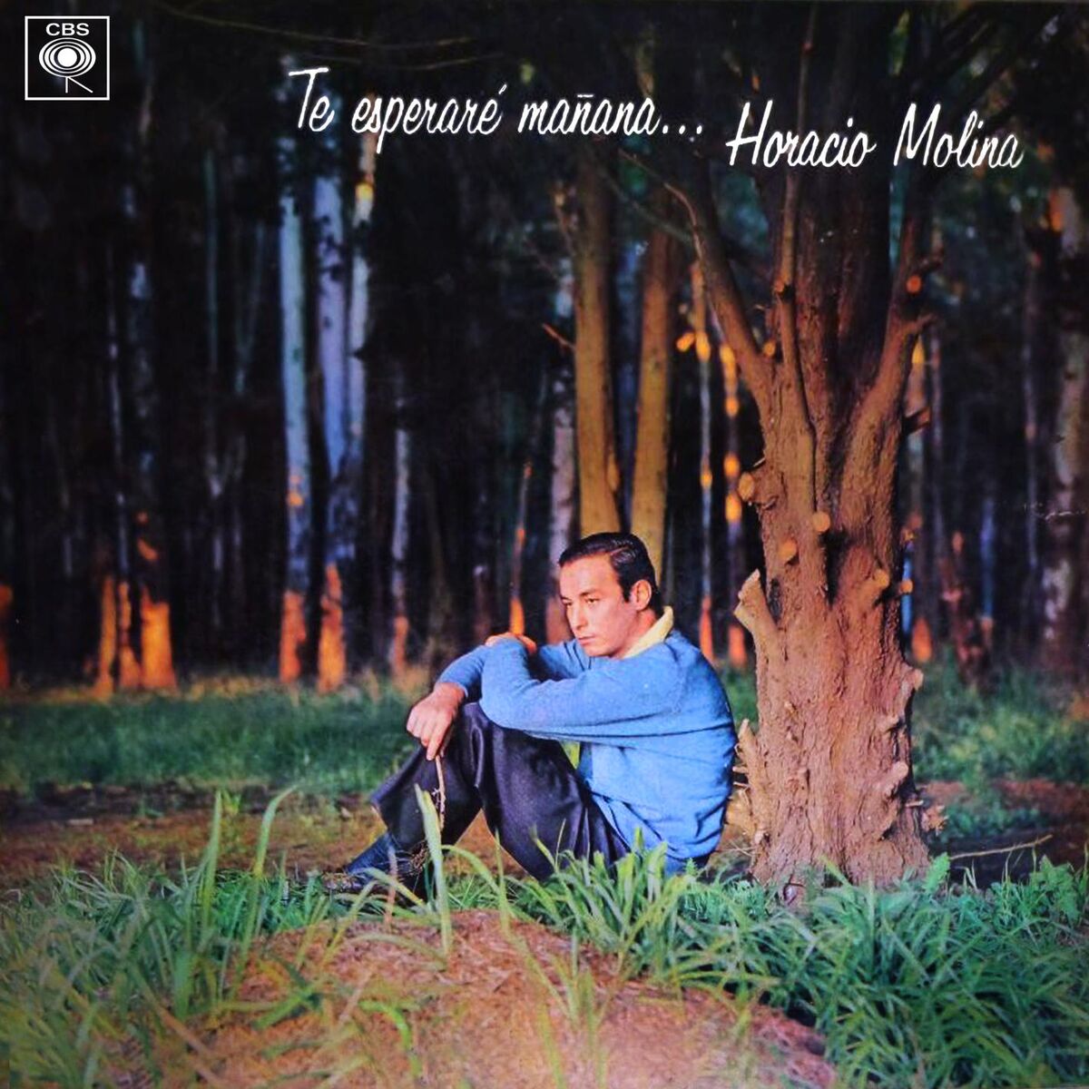 Album cover of Te Esperaré Mañana