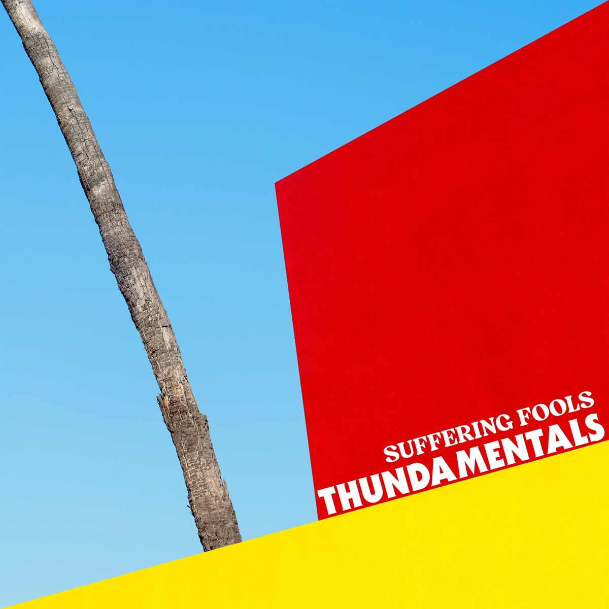 Album cover of Suffering Fools