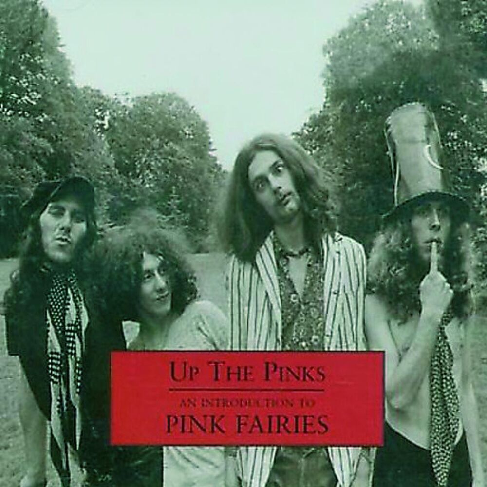 Picture of Up The Pinks - An Introduction to