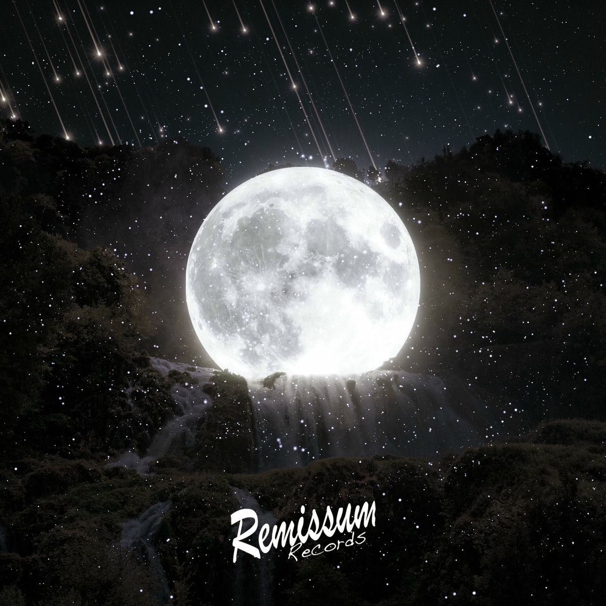 Album cover of Blooming Night