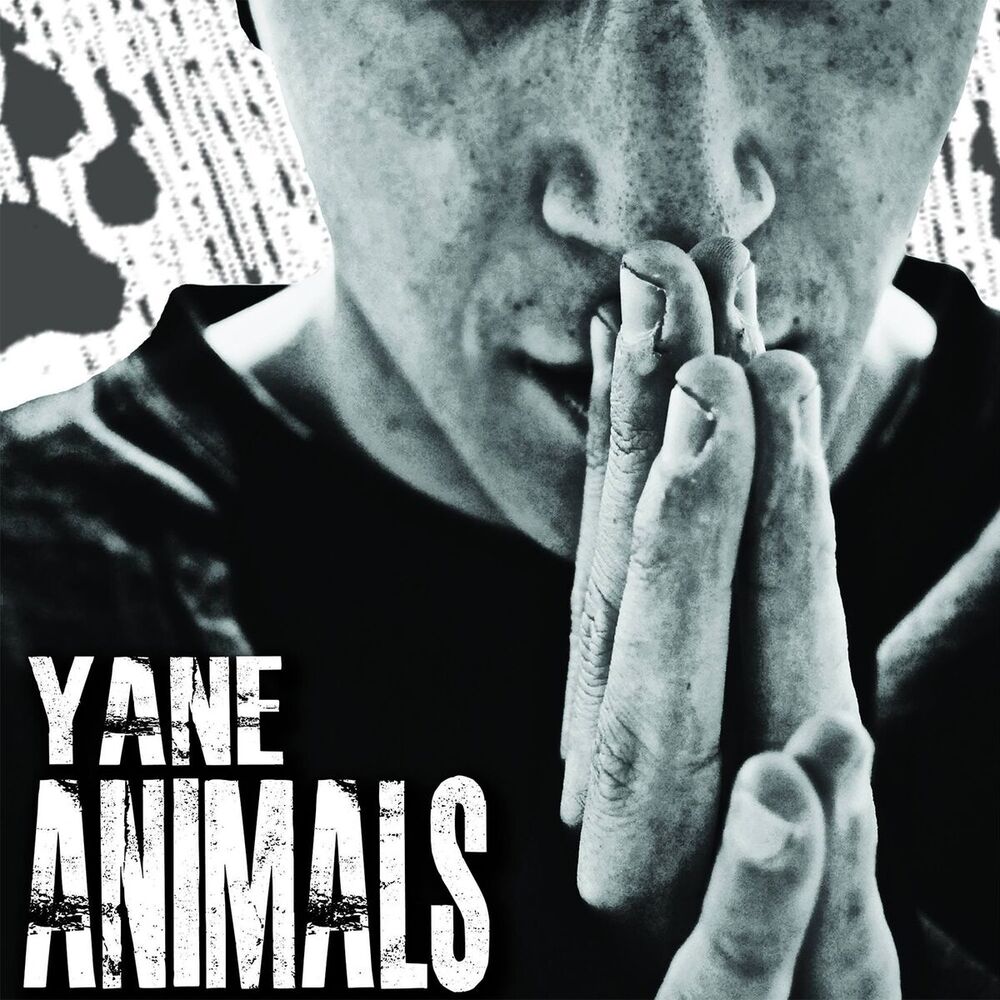 Picture of Animals