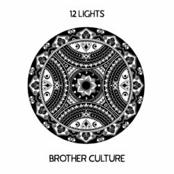 Cover of 12 Lights